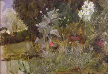 Study of Flowers and Foliage, for 
