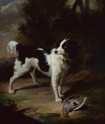 A Black and White Springer Spaniel with a Dead Partridge in a Landscape