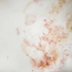 Organic Marble Flow