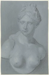 Bust of a Woman