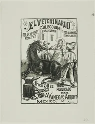 The Veterinarian