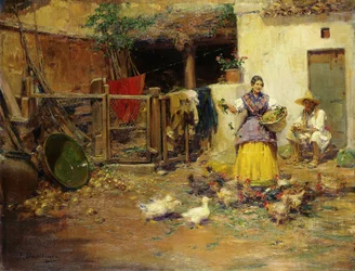 Feeding the Chickens