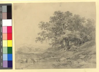 Landscape Study