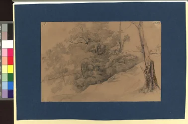 Landscape Study