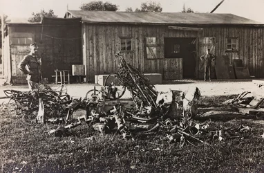 Remains of an Italian Plane
