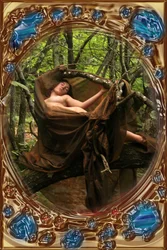 Venus in Wood