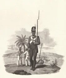 A Private of the 5th West India Regiment, c1812