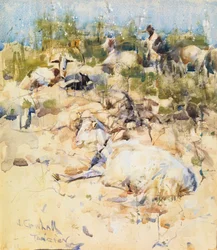 Goats on a Hillside, Tangier