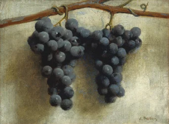Grapes, c.1890-1895
