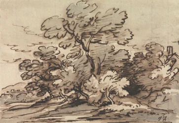 A Group of Trees
