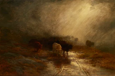 Cattle in the Mist