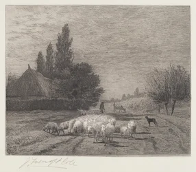 Village Street in France with a Flock of Sheep