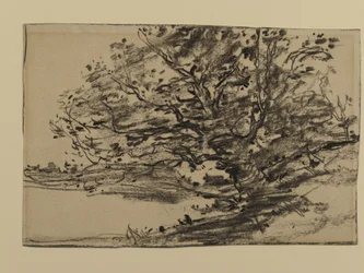 Study of Trees, 1870