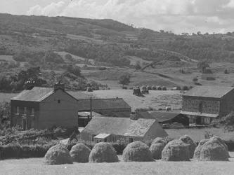 Haycocks in foreground with farm behind
