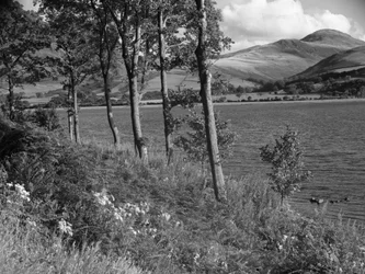 The edge of a lake met by woodland, hills in the background