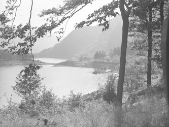 Thirlmere through tree branches