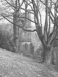 View of a Church; Architecture; Religious; Ecclesiastical; Tower Through Trees