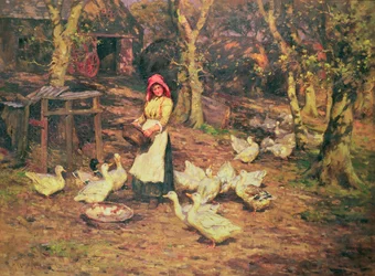 Feeding the Ducks