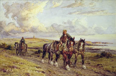 The Plough Team