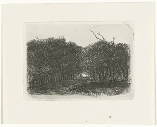 Forest View