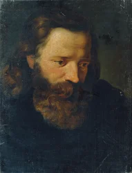 Study Head of a Bearded Man I