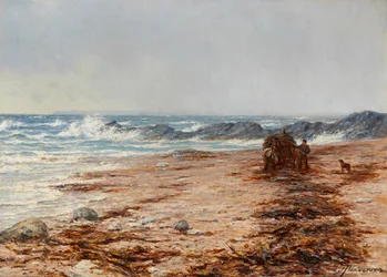 Gathering Kelp