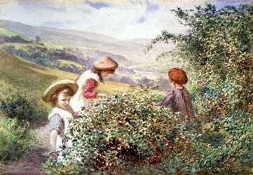 The Blackberry Pickers