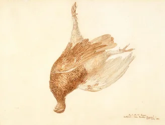 Dead Grouse