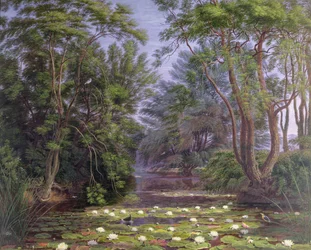 River Cherwell Waterlilies, 1851