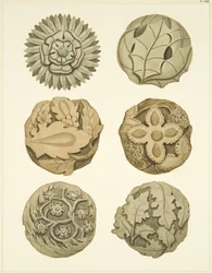 Groin Stones (Bosses) in Ceiling of Redcliffe Church