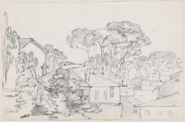 Rooftops and Umbrella Pines