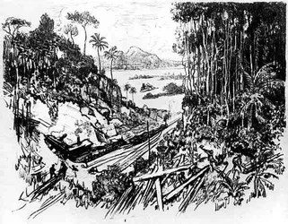 The Jungle: The Old Railway, plate VIII from The Panama Canal by Joseph Pennell, 1912
