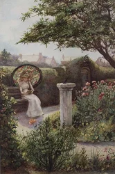 The Parasol