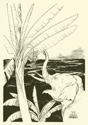 The Elephant