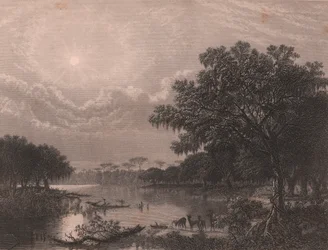 Louisiana Bayou, United States, Steel Engraving by Robert Hinshelwood after Painting by Joseph Rusling Meeker