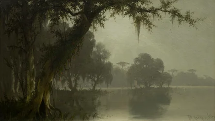 Swamp Scene