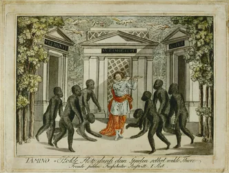 Tamino Tames the Animals with the Magic Flute