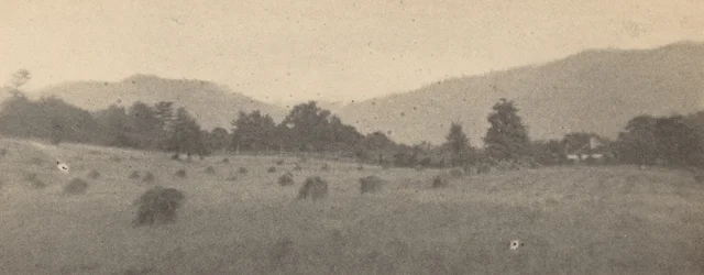 Landscape with Trees and Mountains