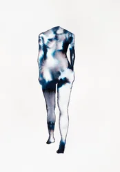 Walking Study