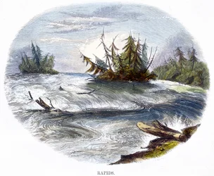 Rapids, from Phenomena of Nature