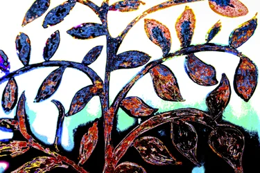 Spring, from the series Italian Synagogue