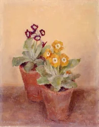 A Pair of Poppies