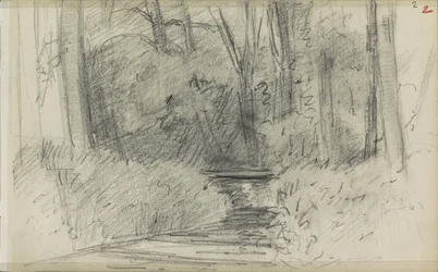 River in a Forest