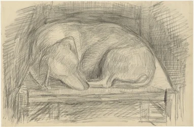 Sleeping Dog on a Chair