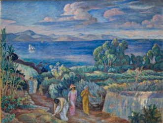 Return from a Swim