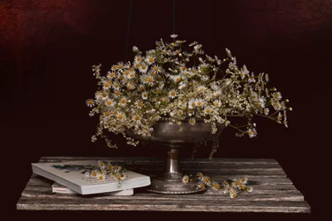 Chamomile and Old Books
