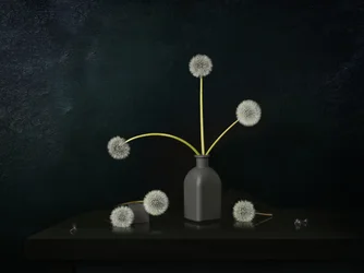 Dandelion Still Life