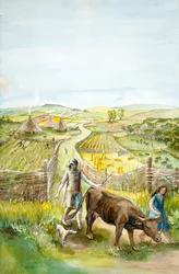 Rural Landscape