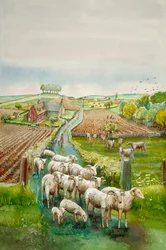 Rural Landscape