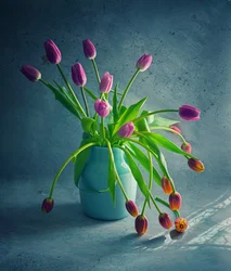 Vibrant Drooping Tulips